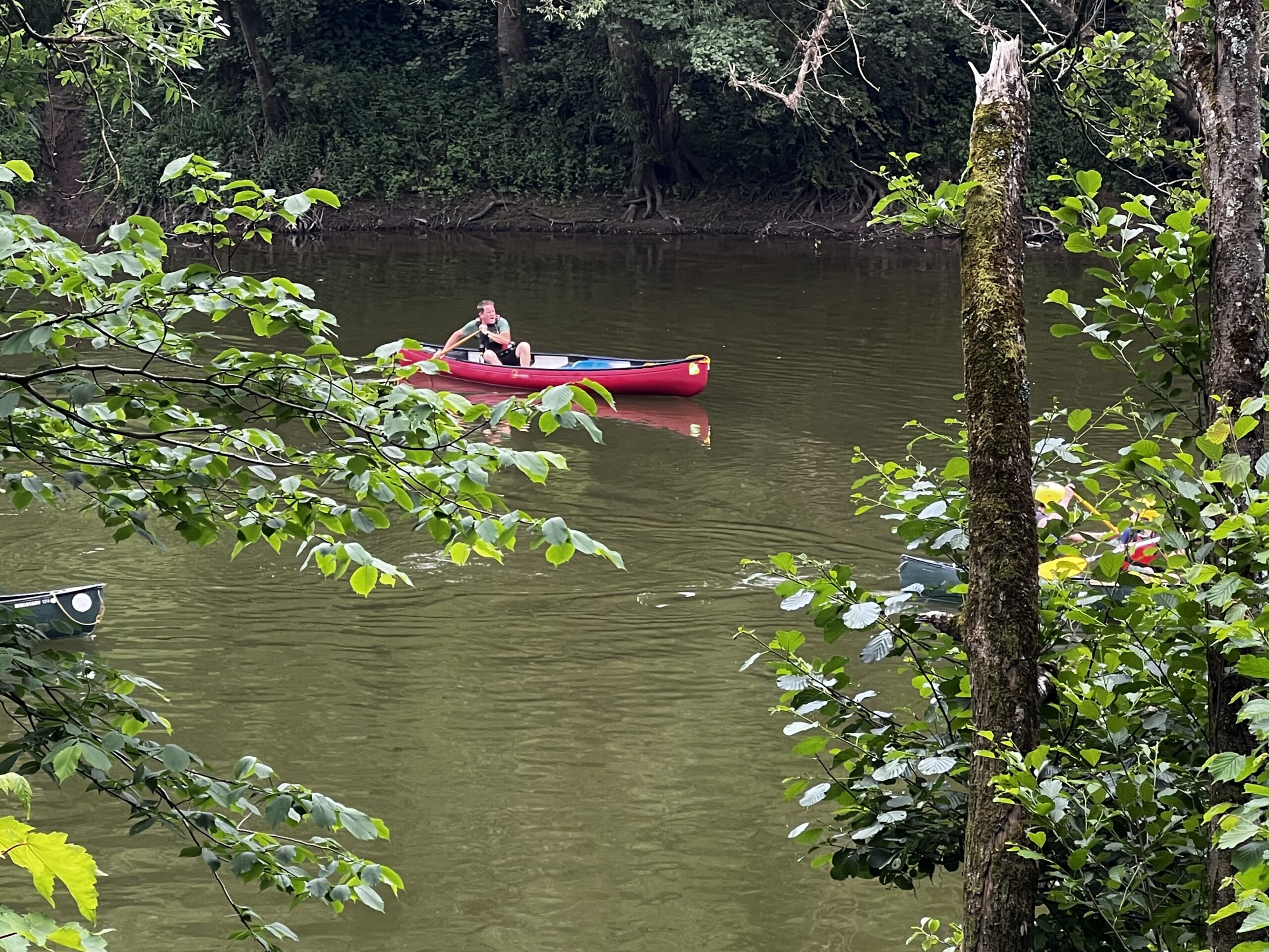 Branches in the foreground with a red canoe on river behind.