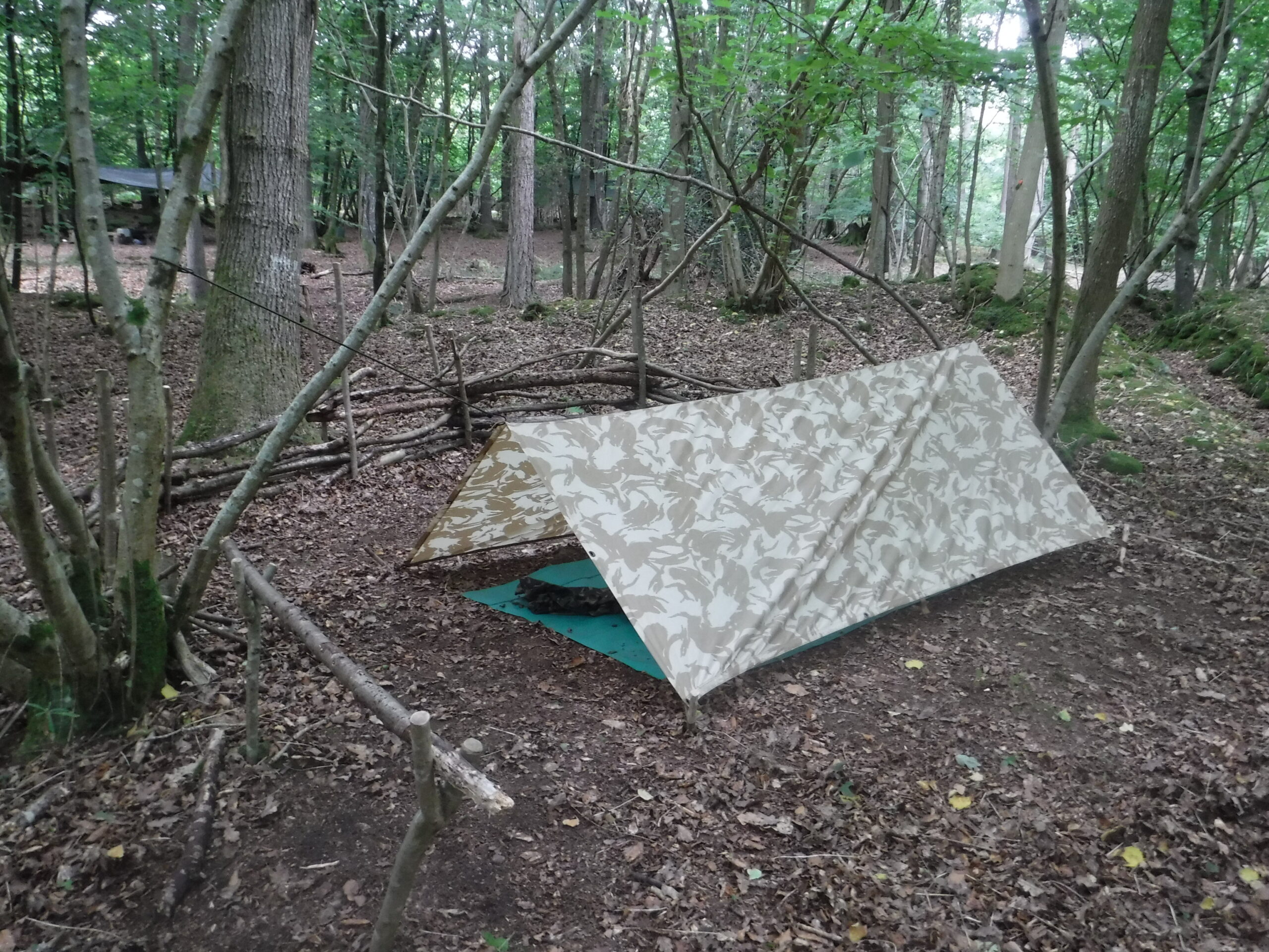 A tarpaulin shelter set out in a forest with leaves on the ground
