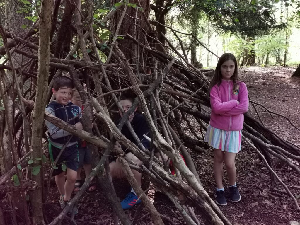 A small group of children play in a woodland, standing inside and beside a shelter made from interwoven branches and sticks beneath tall trees.