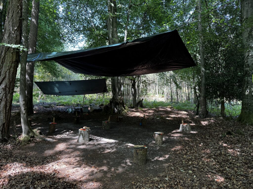A bushcraft camping site in a forest with two tarp shelters and tree stump seating with a knife laid out on each stump.