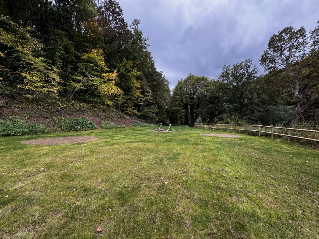A grassy clearing in a forest surrounded by trees, with a small fire pit and a wooden fence, under an overcast sky.