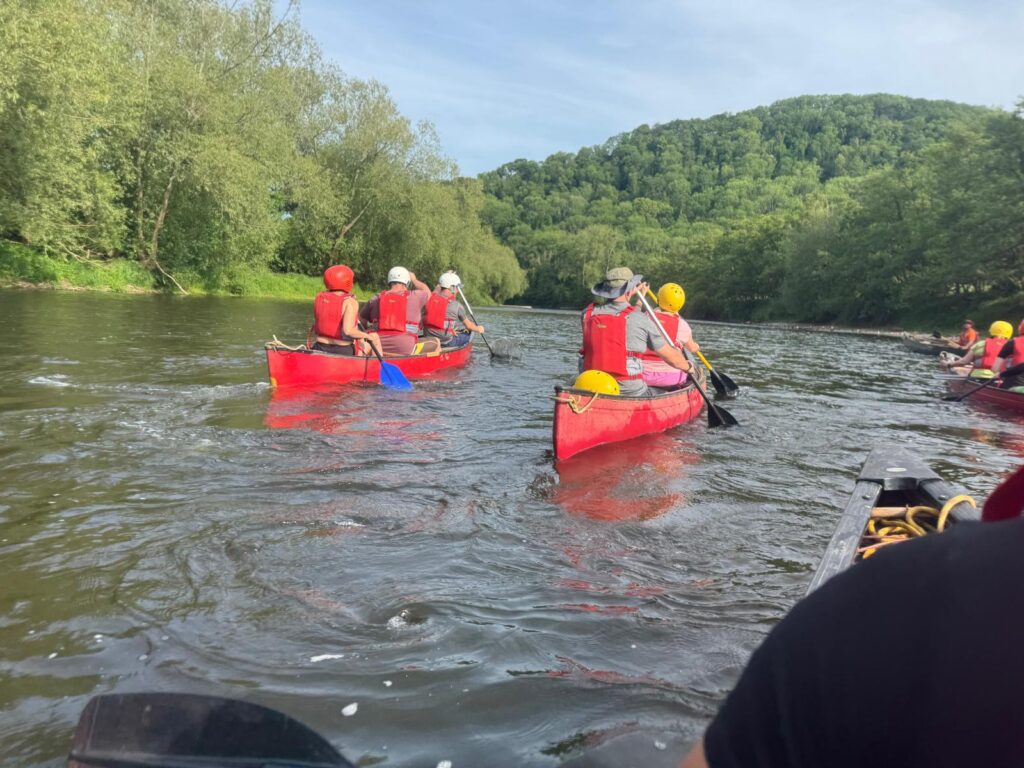Several people wearing life jackets and helmets paddle red canoes along a calm river surrounded by dense green trees and rolling forested hills on a sunny day.